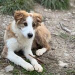 K640_PHOTO-2026-01-18-22-49-52