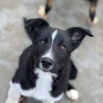 K640_PHOTO-2026-01-18-22-53-17