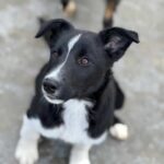 K640_PHOTO-2026-01-18-22-53-34