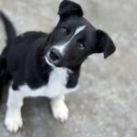 K640_PHOTO-2026-01-18-22-53-43