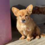 Bildschirmfoto 2026-01-13 um 21.37.38