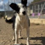 K640_PHOTO-2025-11-03-14-16-40