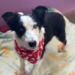 K640_PHOTO-2025-12-10-15-12-27(3)