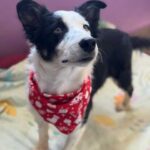 K640_PHOTO-2025-12-10-15-12-28