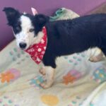 K640_PHOTO-2025-12-10-15-12-28(2)