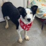 K640_PHOTO-2025-12-10-15-12-29(1)