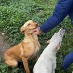 K640_PHOTO-2026-01-11-09-41-09