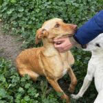 K640_PHOTO-2026-01-11-09-41-09(1)