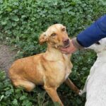 K640_PHOTO-2026-01-11-09-41-09(2)