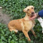 K640_PHOTO-2026-01-11-09-41-09(3)