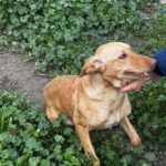 K640_PHOTO-2026-01-11-09-41-10(1)