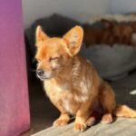 K640_PHOTO-2026-01-11-22-40-34