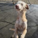 K640_PHOTO-2026-01-16-17-25-27(3)