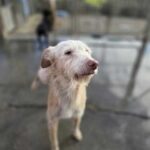 K640_PHOTO-2026-01-16-17-25-28(1)