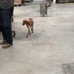 K640_PHOTO-2026-02-13-09-04-31