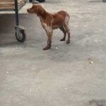 K640_PHOTO-2026-02-13-09-04-40