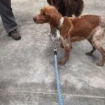 K640_PHOTO-2026-02-13-09-04-50