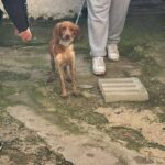 K640_PHOTO-2026-02-13-09-04-58