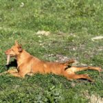 K640_PHOTO-2026-02-22-17-32-16