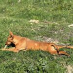 K640_PHOTO-2026-02-22-17-32-16(1)