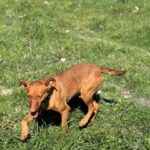 K640_PHOTO-2026-02-22-17-35-54