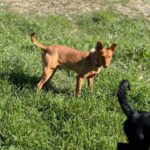 K640_PHOTO-2026-02-22-17-35-55