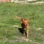 K640_PHOTO-2026-02-22-17-35-55(1)