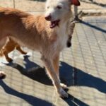 K640_PHOTO-2026-02-22-17-40-07(1)