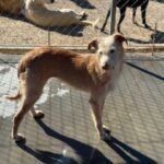 K640_PHOTO-2026-02-22-17-40-08