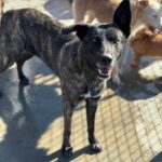 K640_PHOTO-2026-02-22-17-40-56