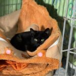 K640_PHOTO-2026-01-19-07-13-12(2)