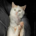 K640_PHOTO-2026-03-17-11-51-27
