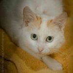 K640_PHOTO-2026-03-17-11-51-28