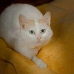 K640_PHOTO-2026-03-17-11-51-28(2)