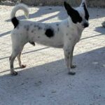 K640_PHOTO-2026-05-22-19-25-47