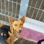 K640_PHOTO-2026-05-01-14-19-19(1)