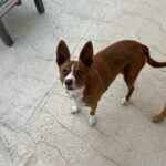 K640_PHOTO-2026-07-28-12-16-31(1)