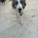 K640_PHOTO-2026-09-02-17-13-27