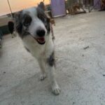 K640_PHOTO-2026-09-02-17-13-28