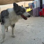 K640_PHOTO-2026-09-02-17-13-28(2)