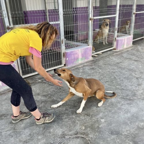 4ae2123d-c658-46bc-8b15-e3002f587a89