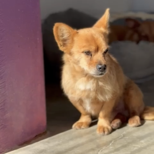 Bildschirmfoto 2026-01-13 um 21.37.06