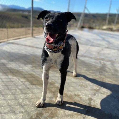 IMG-20231203-WA0394 IMG-20231203-WA0394