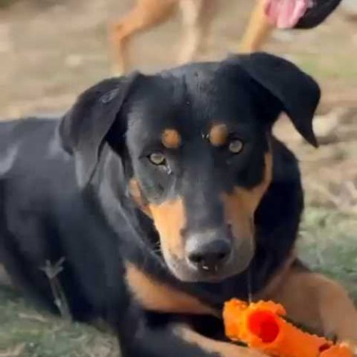 K640_Bildschirmfoto 2025-11-25 um 19.13.11.jpeg