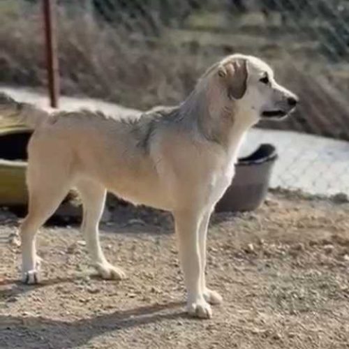 K640_Bildschirmfoto 2025-11-25 um 20.01.46.jpeg