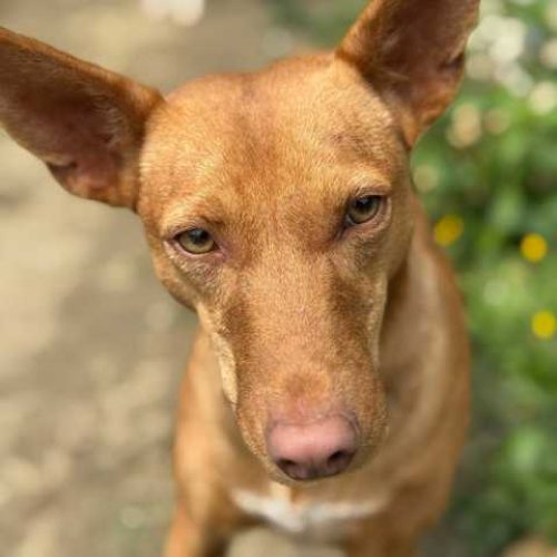 K640_PHOTO-2025-04-06-20-51-34