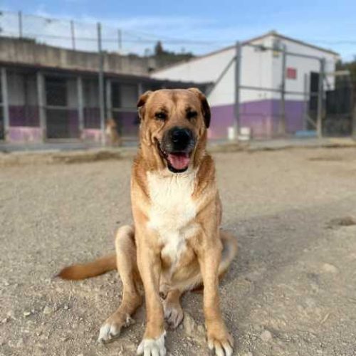 K640_PHOTO-2025-10-14-21-23-23(1)