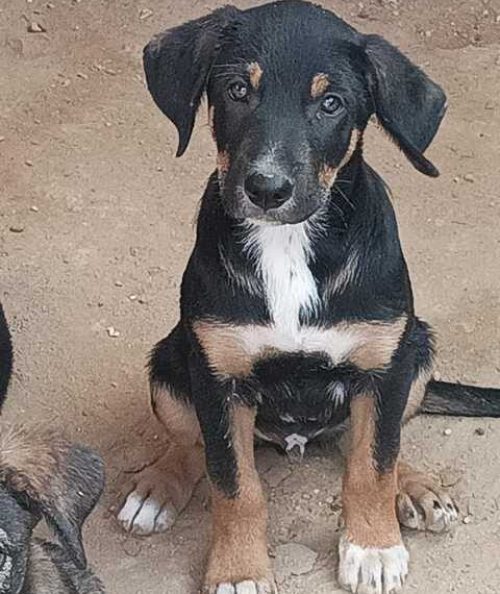 K640_PHOTO-2025-10-14-21-49-47