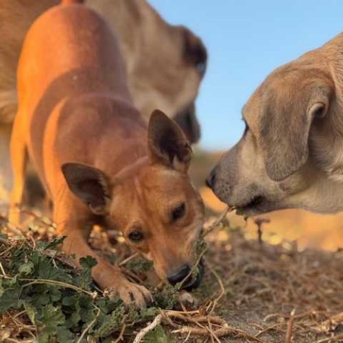 K640_PHOTO-2025-10-14-22-47-53