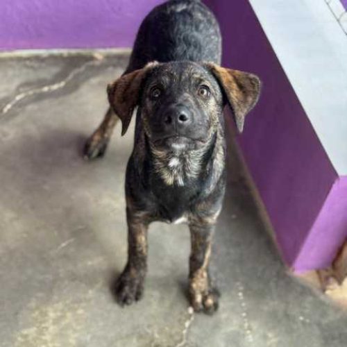 K640_PHOTO-2025-11-03-14-27-58